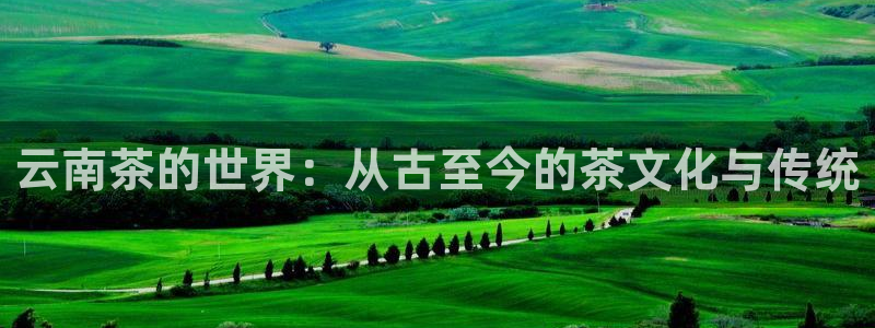 龙八国际娱乐官网手机