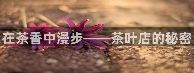 龙八国际娱乐中心