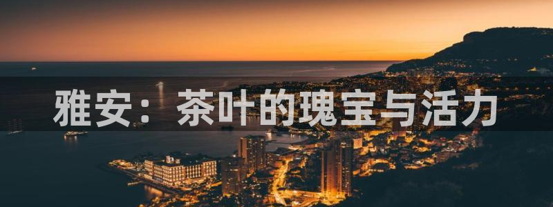 龙八国际更新
