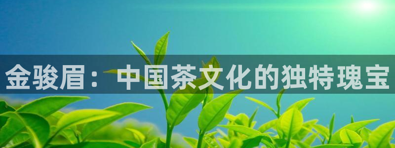 下载龙八国际手机版手游