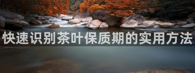 龙八国际APP官方版