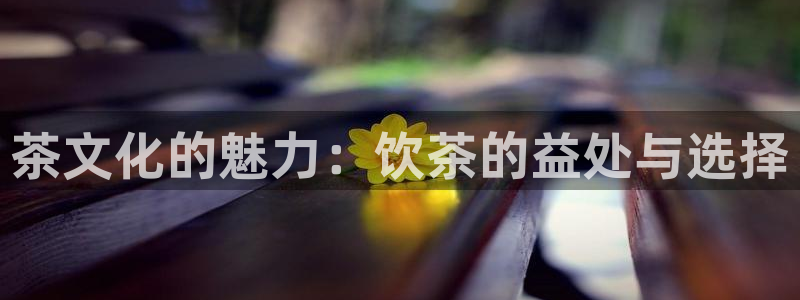 苹果怎么下载龙八国际