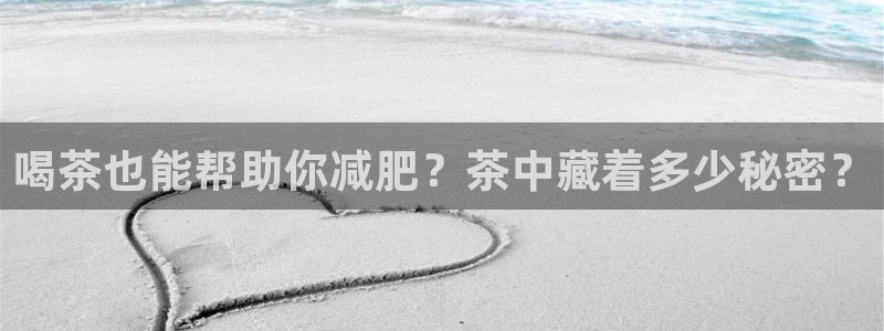 龙八国际是干什么的