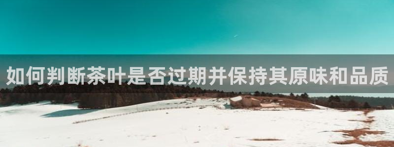 龙八国际娱乐app下载