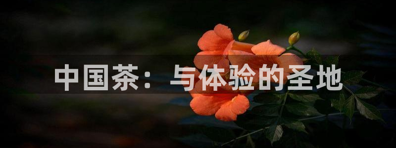 龙八国际pt老虎机官网