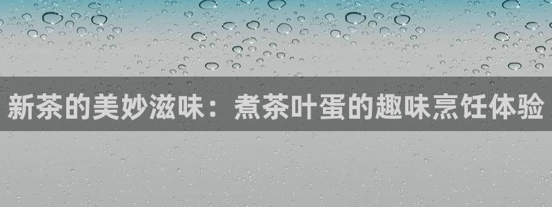 龙八国际客服
