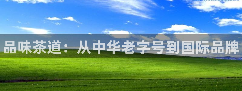 龙八国际app下载安卓