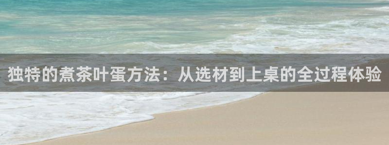 龙 八国际