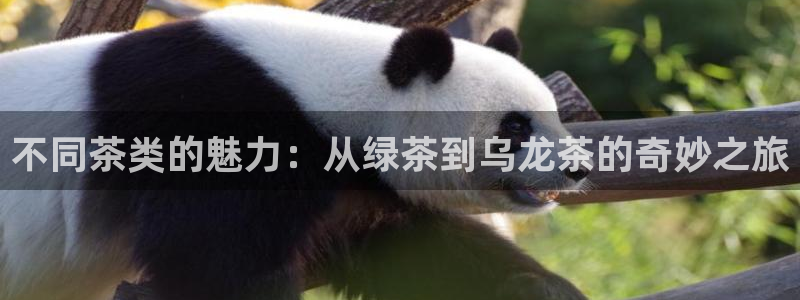 龙八国际官方网