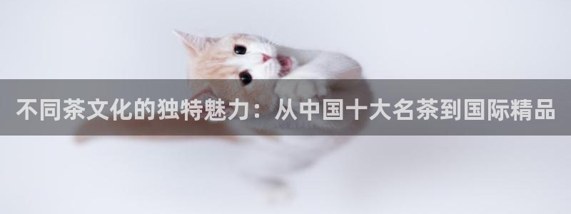 龙八国际游戏娱乐