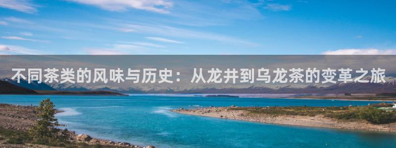 龙八国际手机版官网平台