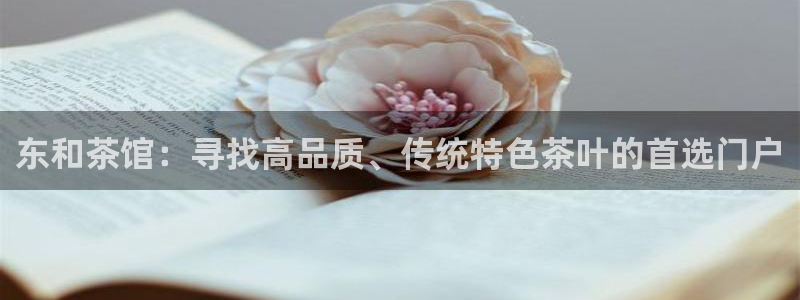 龙八国际官网手游