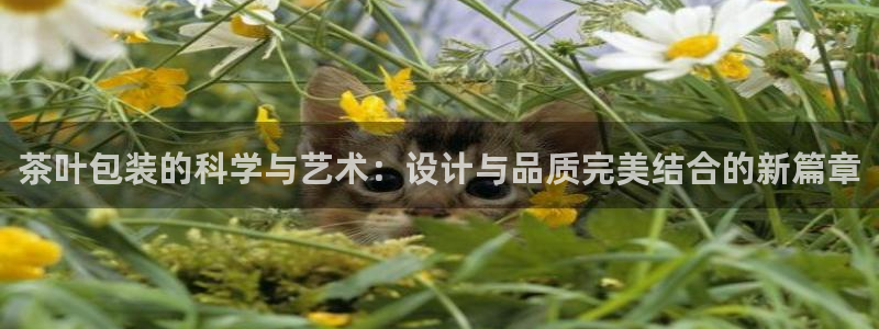 龙八国际网页long
