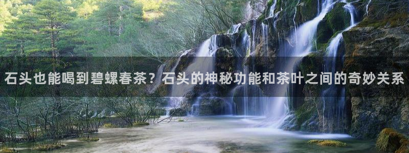 龙八国际股票