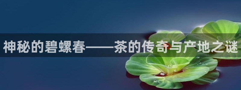 龙八国际娱乐场