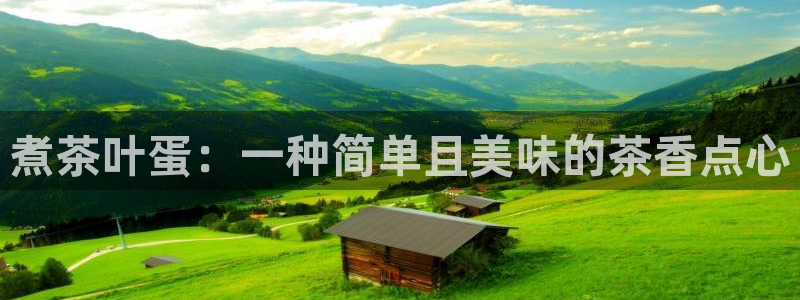 龙八国际服官网进入