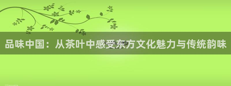 龙八国际娱乐官网多少