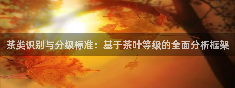 龙八国际娱乐地