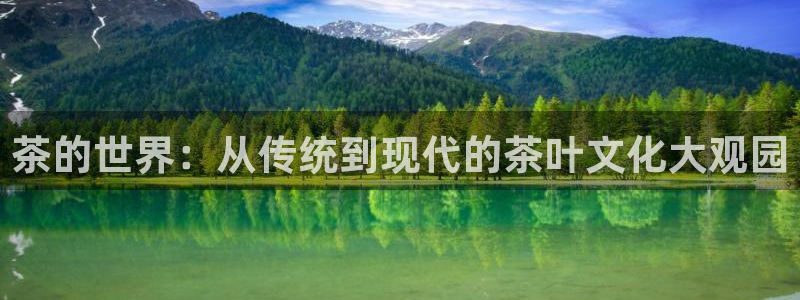 龙八国际官网手机端