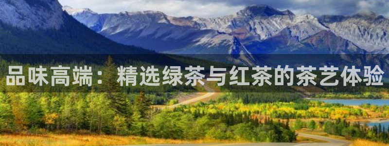 龙八国际平台手机版下载