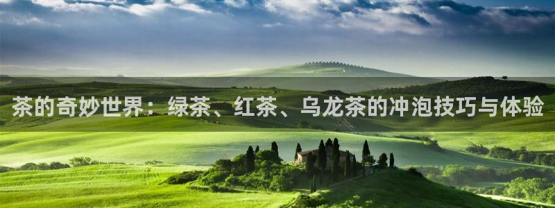 龙八国际app下载安装