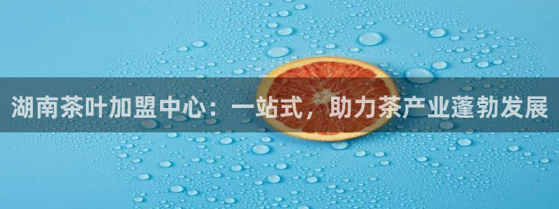 龙八国际apPP