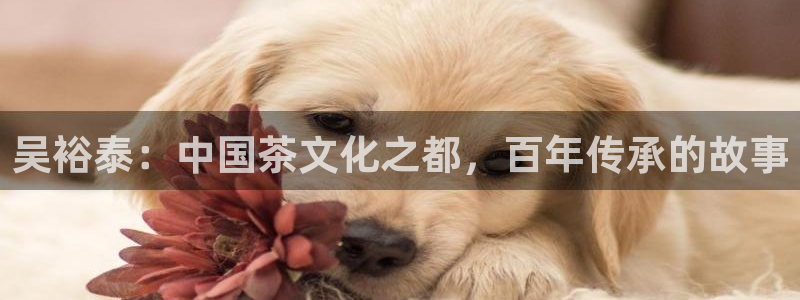 龙八国际下载全部收藏pity