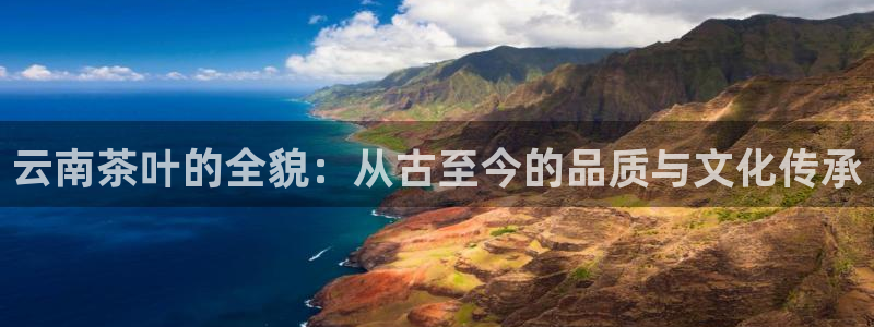 龙八国际网