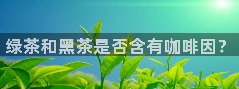 龙八国际网站手机版
