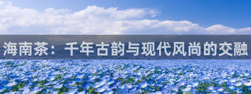 龙八国际城网站