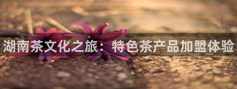 龙八国际有没有假