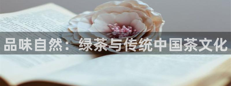 龙八国际娱乐网站