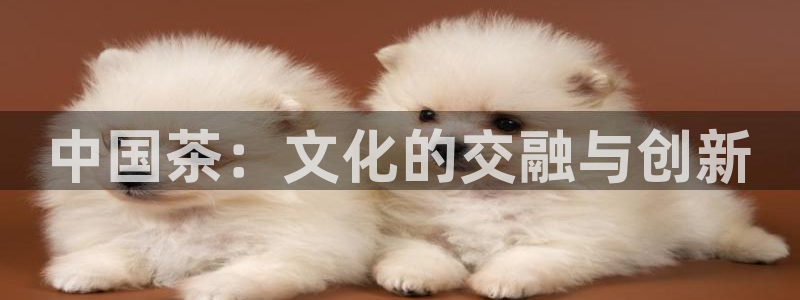 龙八国际有没有假