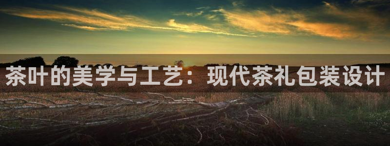 龙八国际服官网