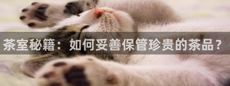 龙八国际发哥下载