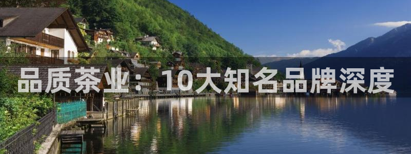 龙八国际网