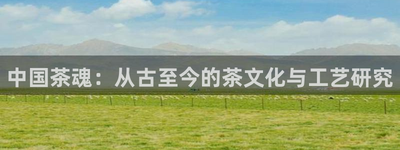 龙八国际娱乐