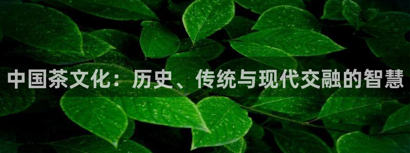 龙八国际游乐城