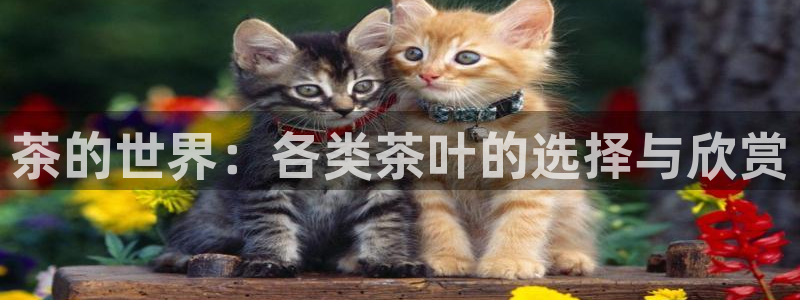 龙八国际官方网站入口