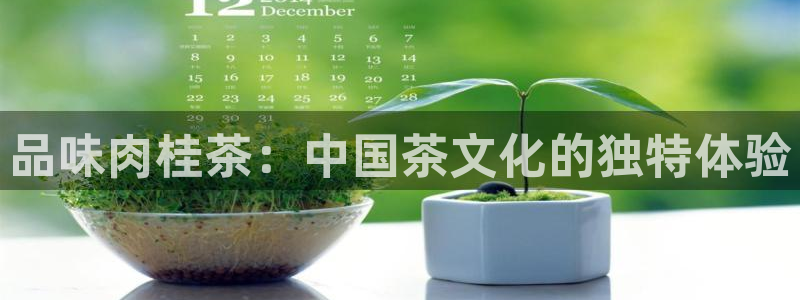 龙八国际网q18点tv