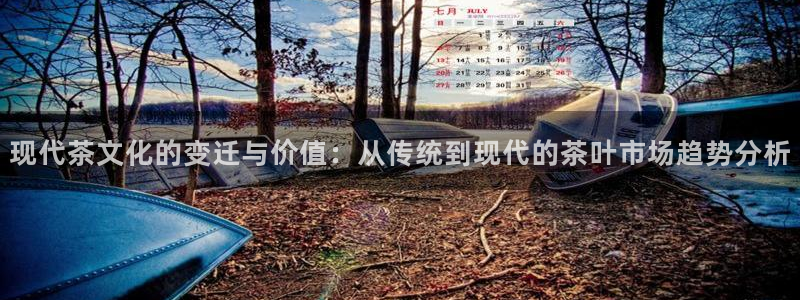 龙八国际可b48点tv