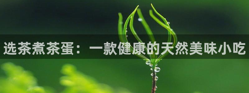 龙八国际pT娱乐官网