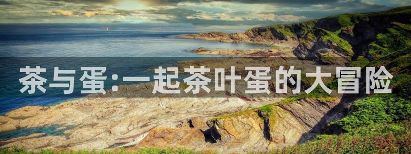 龙八国际体育