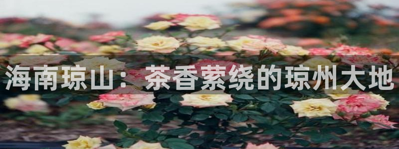 龙八国际手机版下载安装app