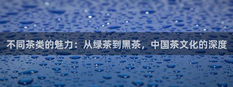 龙八国际官网首页