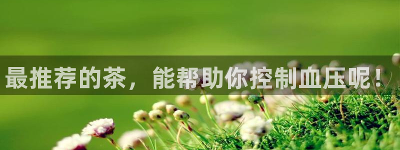 龙八国际88