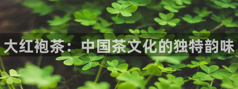 龙八国际app