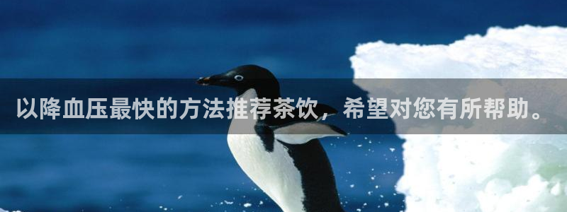 龙八国际新版