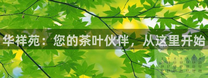 龙八国际app客户端下载安卓