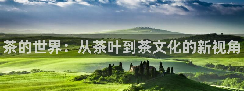 龙八国际交响乐